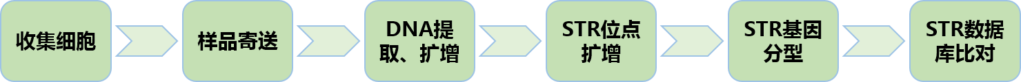 13.png